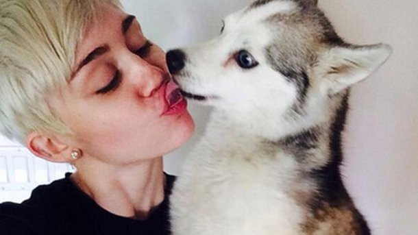 Miley Cyrus chante pour son compagnon disparu !