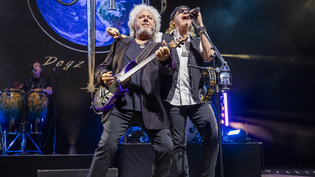 Toto de retour en concert en 2027 : deux dates annoncées