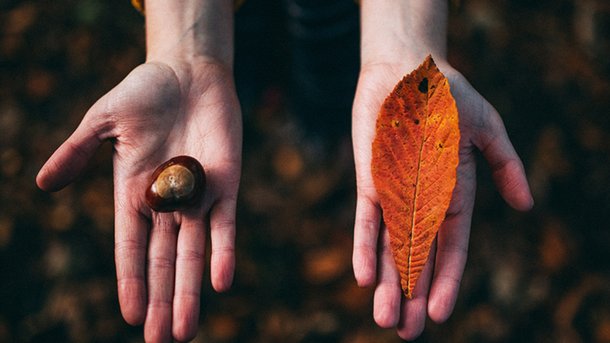 5 idées activités d’automne fun et familiales