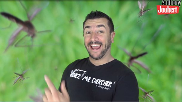 Anthony Joubert :  "Les Moustiques" - Parodie de : "Chez nous (Plan d'Aou, Air Bel) "