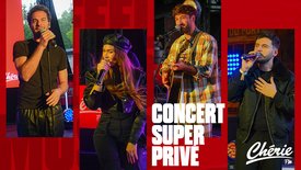 Jeck, Jérémy Frerot, Vitaa et Amir en Concert Super Privé au Parc Astérix: découvrez les images !