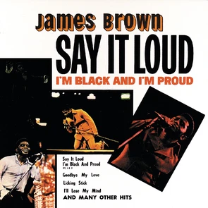 Say It Loud, I'm Black and I'm Proud