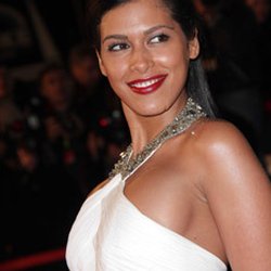Tapis Rouge - NRJ Music Awards 2013
