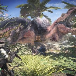 Capture de Monster Hunter World sur PC
