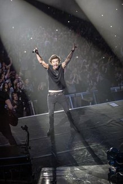 Harry Styles - L'Annuel Officiel 2015