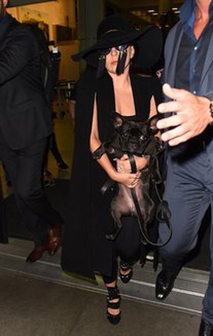 Lady Gaga et ses lunettes