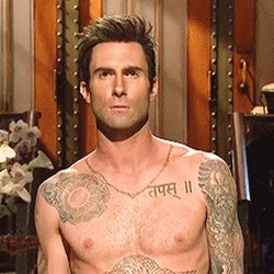 Adam Levine torse nu
