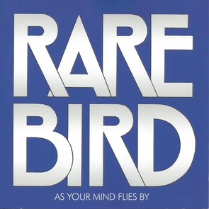 As Your Mind Flies By