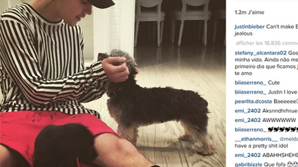Justin Bieber va vous faire craquer avec son nouveau chiot!