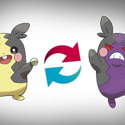 Morpeko dans Pokémon Épée et Bouclier