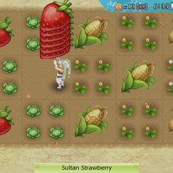 Rune Factory 4 Special