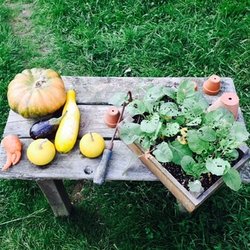 "Hobbits are on my diet #eatnourishglow"
