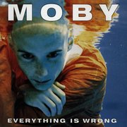 Everything Is Wrong