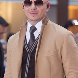 pitbull