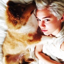 Miley Cyrus et son nouveau compagnon !
