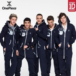 One Direction: Il commence à faire froid! Qui veut se réchauffer dans un @OnePiece onesie? 1DHQ x