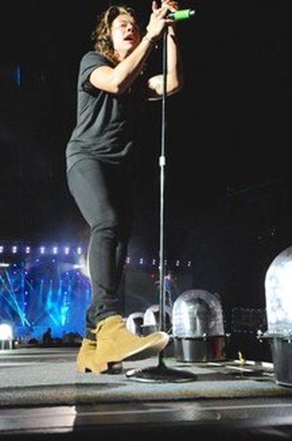 Les One Direction en concert à Chicago