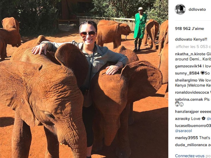 Demi et les bébés éléphants au Kenya