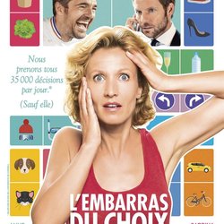 L'embarras du choix de Eric Lavaine - affiche