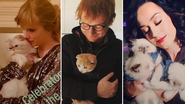 Taylor Swift, Ed Sheeran, Katy Perry… Tous fans de chats!