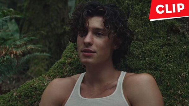 Shawn Mendes: écoutez dès maintenant «Wonder»