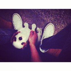 Shy'm et son nouveau compagnon