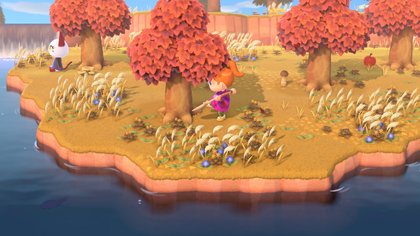 Animal Crossing: New Horizons sur Nintendo Switch