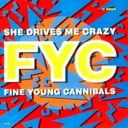 SHE DRIVES ME CRAZY (1989)