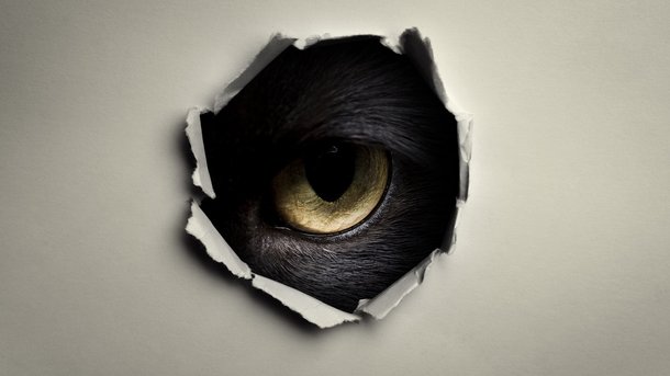 « Les Loups-Garous de Thiercelieux » dévoile un casting taillé pour la comédie et le frisson