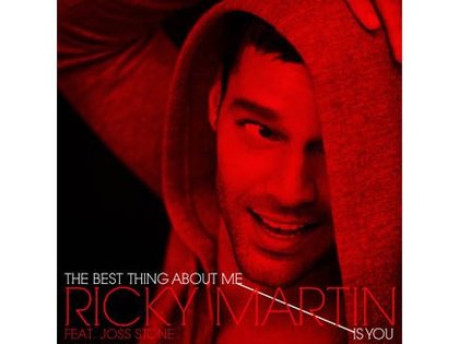 Ricky Martin prône l'égalité en images