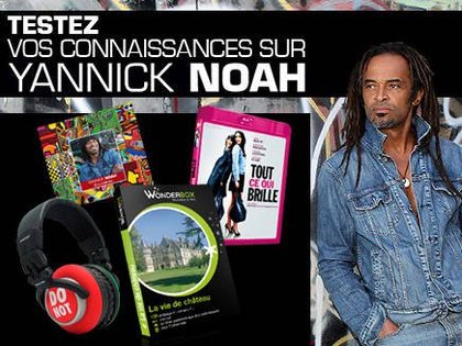 Yannick Noah - Quiz