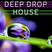 Deep Drop House