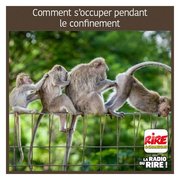 On reste à la maison 🏠  ...