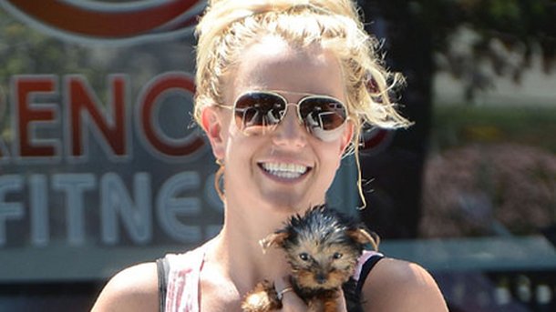 Britney Spears : les détails de son show à Las Vegas !