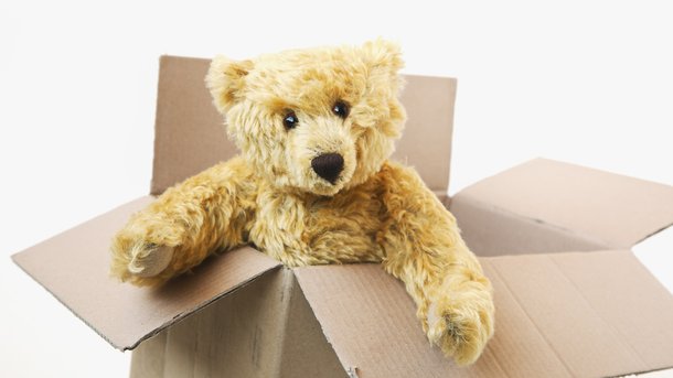 Les infos du Réveil Chérie : l'ours en peluche envoyé par la poste cachait une fortune