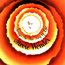 STEVIE WONDER