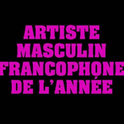 Artiste masculin francophone de l’année - NRJ Music Awards 2012