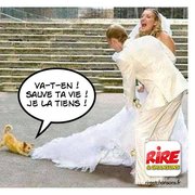 Ce chien a peut-être sauvé une vie... ou pas