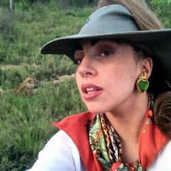 SAFARI PICTURES : le lion s'est même réveillé et nous a laissé nous approcher :)