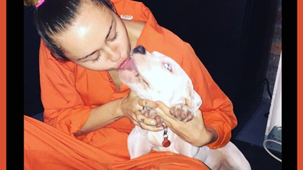 Miley Cyrus: en combinaison de prisonnière à New York!