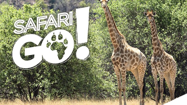 SAFARI GO !, le jeu d'aventure familial présenté par Vincent Cerutti