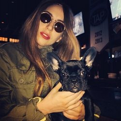 Lady Gaga: Sortie avec mon chien