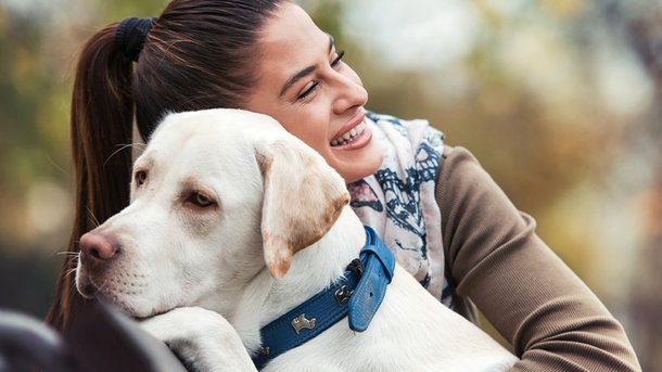 Les infos du Réveil Chérie : Nous sommes 20% à préférer avoir un chien plutôt que d’être en couple !