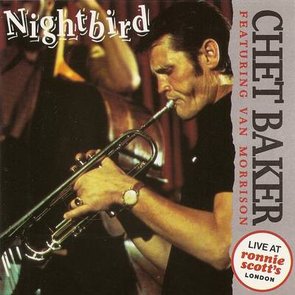Night Bird
