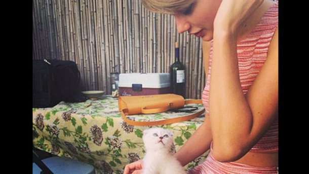 Taylor Swift a un nouveau compagnon !