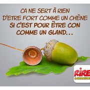 Pensée du jour