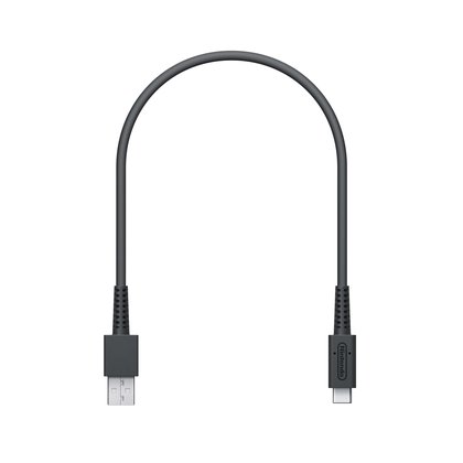 Câble de recharge USB pour Mario Kart Live: Home Circuit