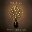 THE FRAY
