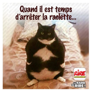 Y a des signes qu'il faut suivre