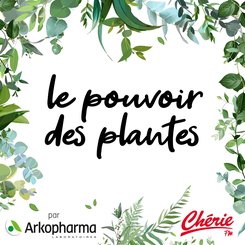 La Spiruline